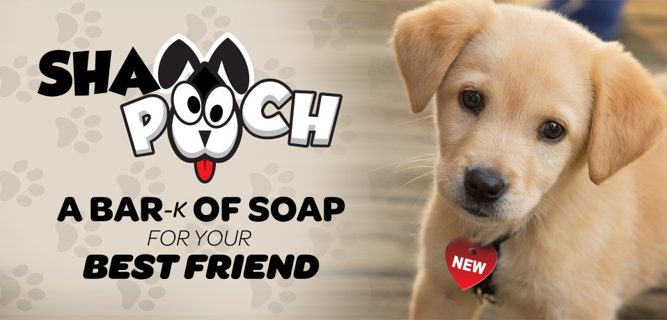 dog shampoo soap bath